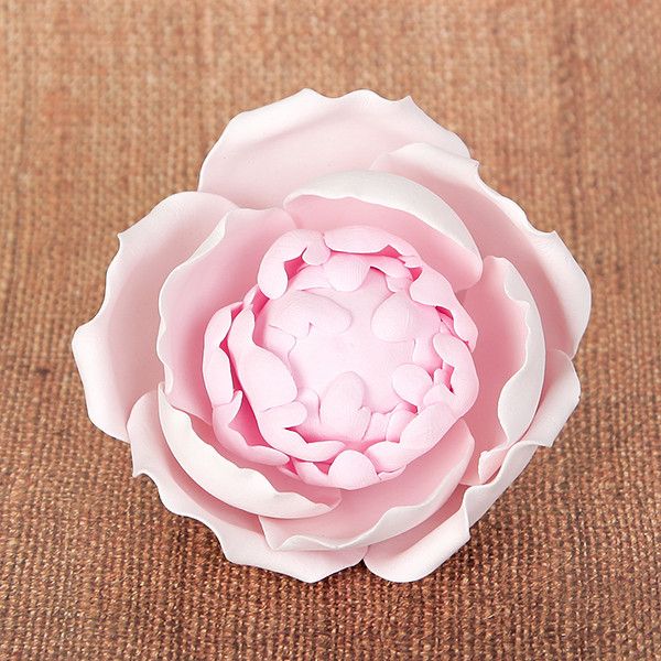 Handmade pink gum paste peony sugar flower suitable for buttercream cakes from CaljavaOnline
