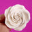 Handmade white garden rose gumpaste sugar flower for cake decorators and bakeries