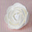 Handmade White Modern rose gum paste sugar flowers for cake designers and bakeries
