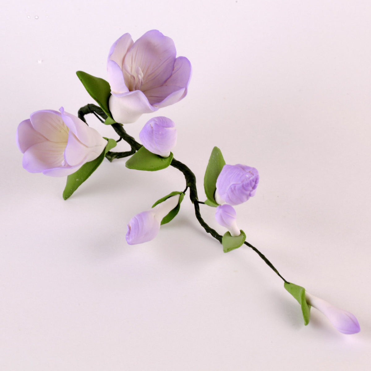 Freesia Fillers - Lavender — CaljavaOnline