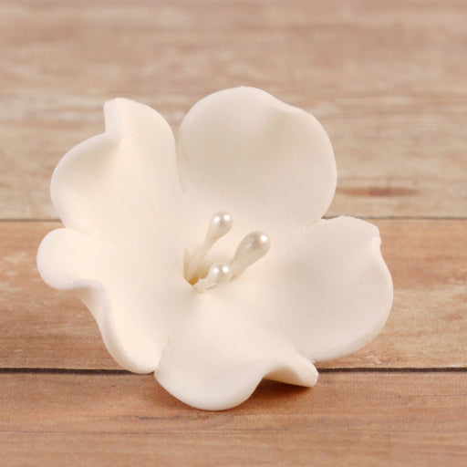 White Gumpaste Fruit Blossoms cake toppers and cupcake toppers perfect for cake decorating rolled fondant cakes. Fruit Blossoms - White