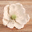 Edible Full Bloomed White Magnolia sugar flower cake decorations perfect for wedding cakes decorating rolled fondant cupcakes and birthday cakes and cupcakes.  Edible Cake Decoration and wholesale cake supplies.
