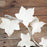 White Ivy Leaf Filler sugarflower from gumpaste perfect for cake decorating fondant cakes and wedding cakes. Wholesale sugarflowers and cake supply.