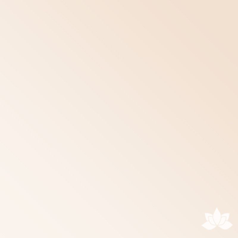 Chefmaster Gel Base Color - Ivory