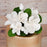 White Gumpaste Plumeria Cake Topper Spray handmade gumpaste cake decoration.
