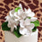 White Gumpaste Plumeria Cake Topper Spray handmade gumpaste cake decoration.