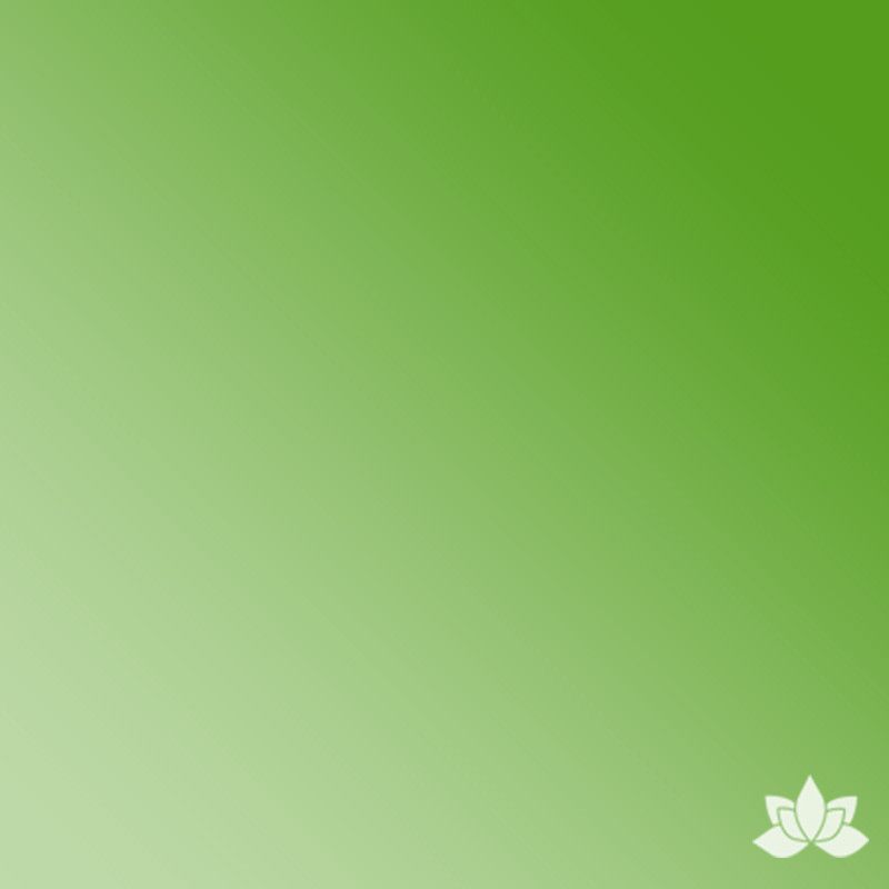 Chefmaster Gel Base Color - Leaf Green