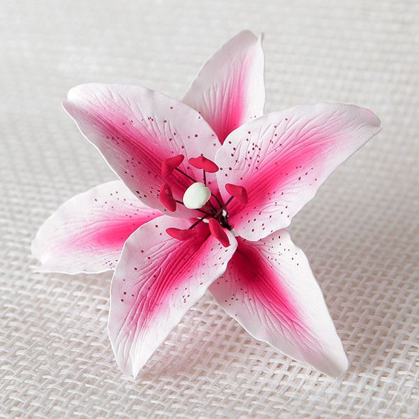 Stargazer Lilies - Hot Pink — CaljavaOnline