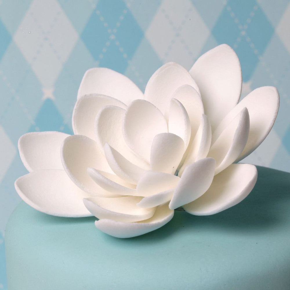 lotus flower cake｜TikTok Search