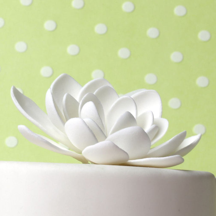Small White Lotus Flower handmade from gumpaste perfect as a cake topper Cake decoration for cake decorating fondant cakes. Wholesale cake supply. Caljava