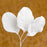 Rose Leaf - White