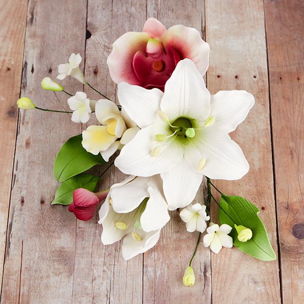 orchid lily flower Day Lily & Phalaenopsis Orchid Small Sprays
