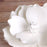 Large White Gumpaste Magnolia handmade gumpaste cake topper decoration.