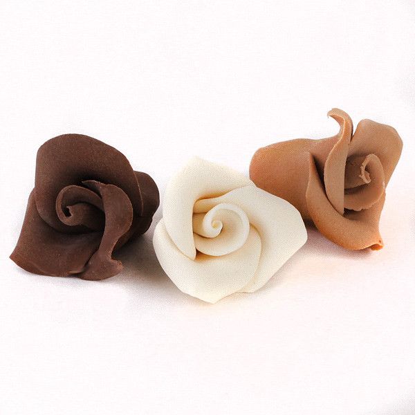 Modeling Chocolate Peruvian Roses - Unwired