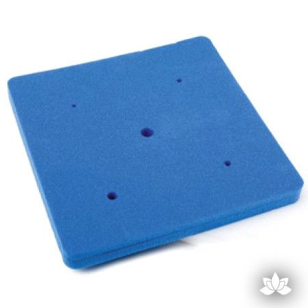 Mexican Blue Foam Pad - PME