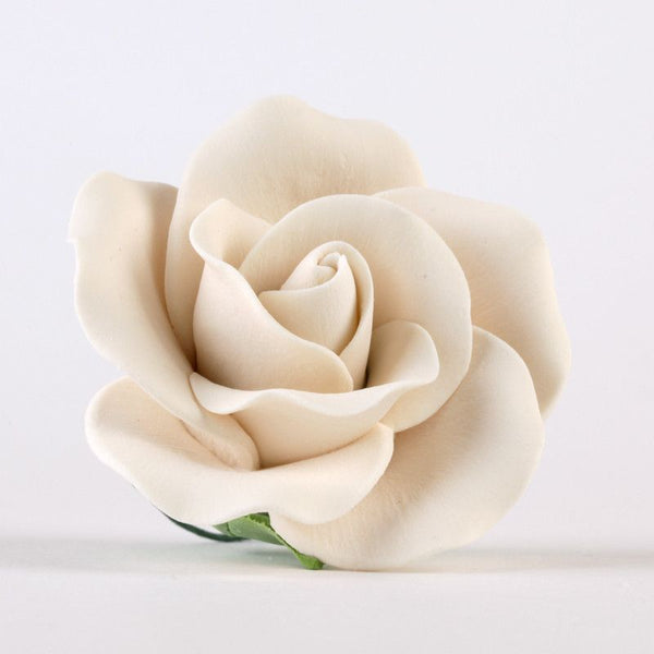 Large Tea Roses - Ivory — CaljavaOnline