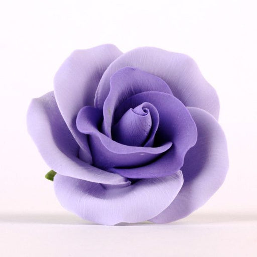 Full Bloom Dutch Irises - Lavender — CaljavaOnline