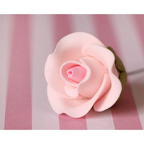 Small Tea Roses - Pink