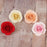 Medium Tea Roses - Assorted Colors