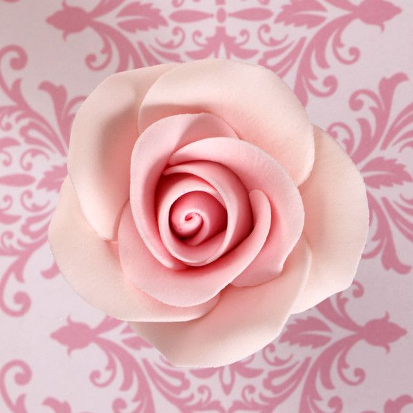 Medium Tea Roses - Pink