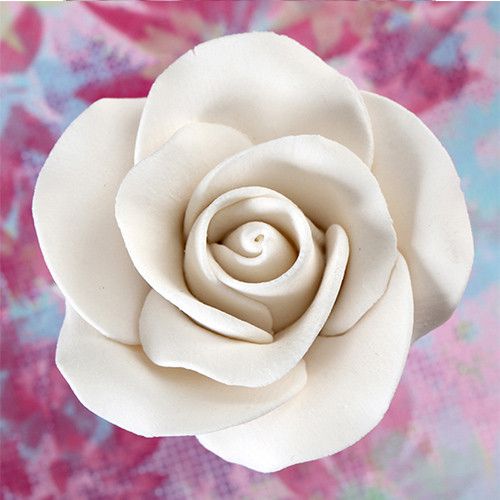 8 Medium Tea Roses - White