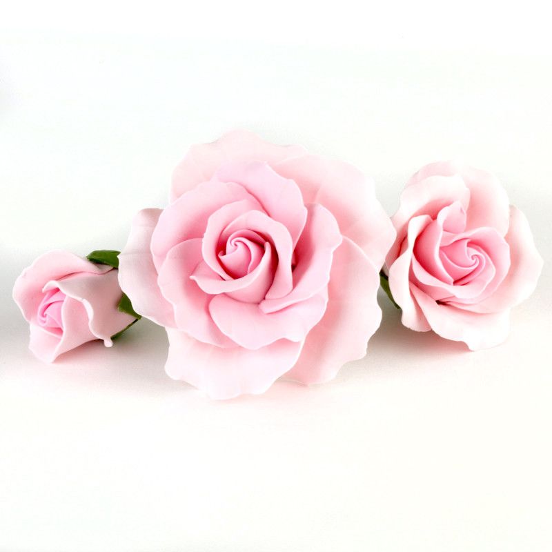 Assorted Size Garden Roses - Pink — CaljavaOnline