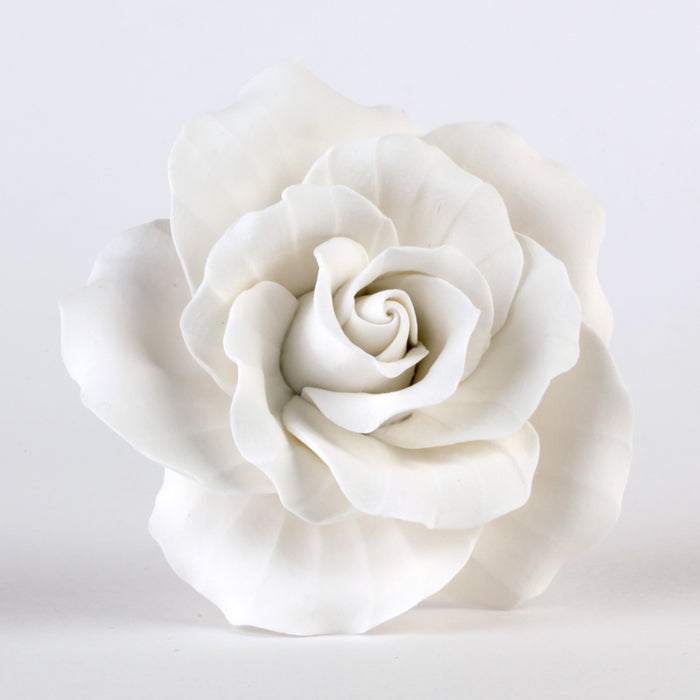Assorted Size Garden Roses - White