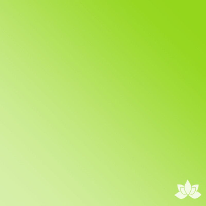 ChefMaster Liqua-Gel Color 2.3 oz - Neon Bright Green