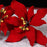 Red Gumpaste Poinsettia sugarflower cake topper perfect for cake decorating rolled fondant christmas cakes and cupcakes.  Wholesale cake decorations for christmas.