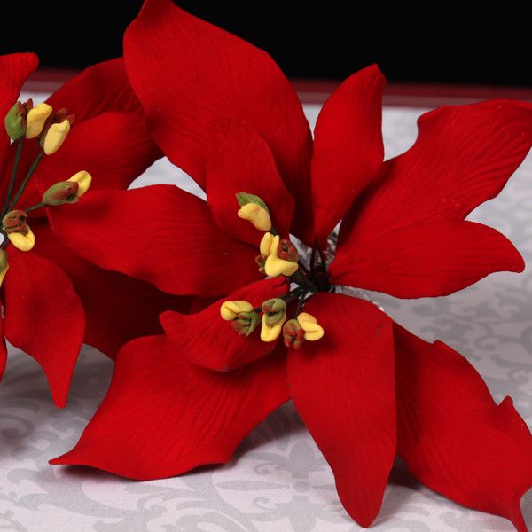 Red Gumpaste Poinsettia sugarflower cake topper perfect for cake decorating rolled fondant christmas cakes and cupcakes.  Wholesale cake decorations for christmas.