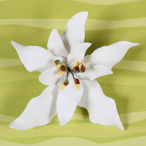 White Gumpaste Poinsettia cake topper perfect for cake decorating rolled fondant christmas cakes and cupcakes.  Wholesale cake decorations for christmas.