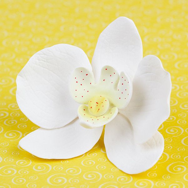 Phalaenopsis Orchids in White are gumpaste sugarflower cake decorations perfect as cake toppers for cake decorating fondant cakes and wedding cakes. Caljava wholesale cake supply.