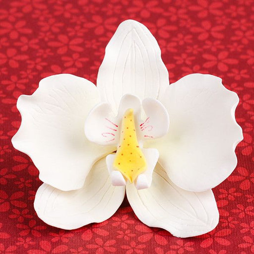Single Moth Orchids in White are gumpaste sugarflower cake decorations perfect as cake toppers for cake decorating fondant cakes and wedding cakes. Caljava wholesale cake supply.