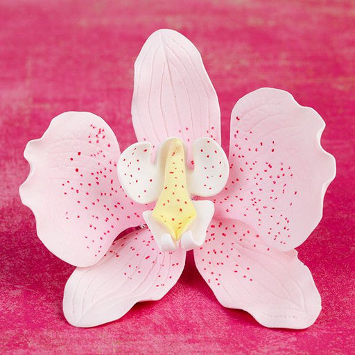 Phalaenopsis Orchids in Light Pink are gumpaste sugarflower cake decorations perfect as cake toppers for cake decorating fondant cakes and wedding cakes. Caljava wholesale cake supply.