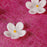 Mini Edible Flower Blossoms perfect for cakes and cupcakes handmade cake decoration.