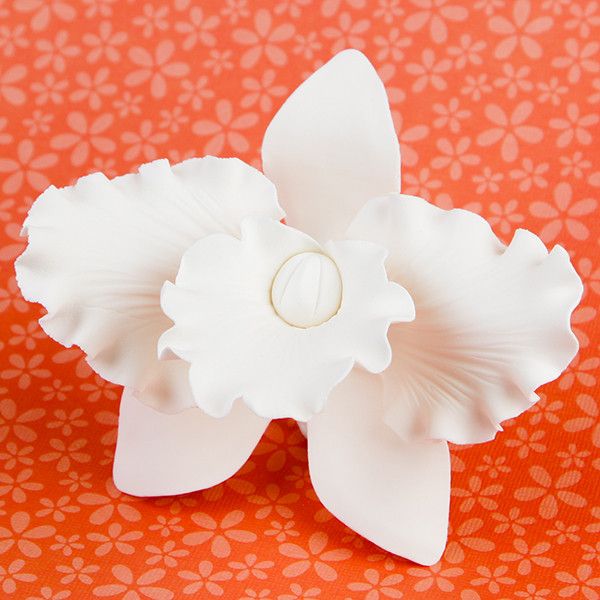 Large Cattleya Orchids in White are gumpaste sugarflower cake decorations perfect as cake toppers for cake decorating fondant cakes and wedding cakes. Caljava wholesale cake supply.
