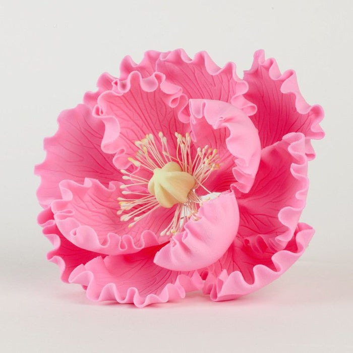 Pink Peony Flower Silicone Bead Mix--White, Powder Pink, Light Hot
