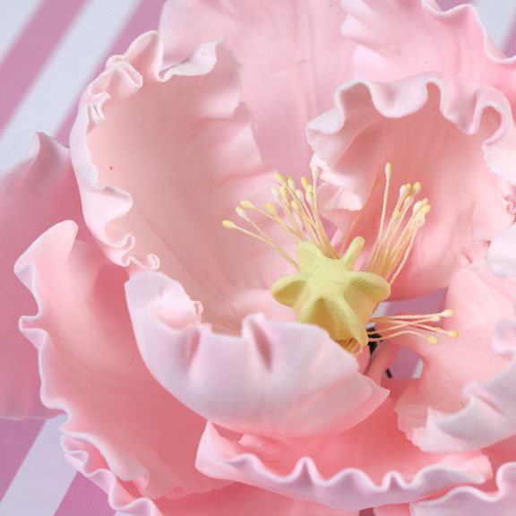 O'Creme Pink Peony Gumpaste Flowers - Set of 3