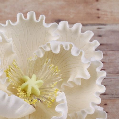 White open gumpaste peony handmade cake decoration.  Gumpaste flower.  Caljava