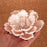 Sugarflower cake topper great for cake decorating wedding cakes. | CaljavaOnline.com