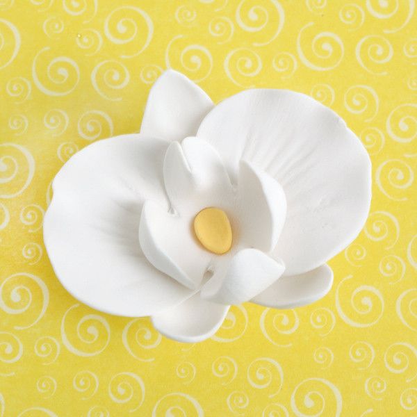 White Edible Gumpaste Phalaenopsis Orchids and Buds sugarflower cake decoration perfect for cake decorating fondant cakes with a cake topper. Wholesale cake supply. Caljava