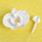 White Edible Gumpaste Phalaenopsis Orchids and Buds sugarflower cake decoration perfect for cake decorating fondant cakes with a cake topper. Wholesale cake supply. Caljava