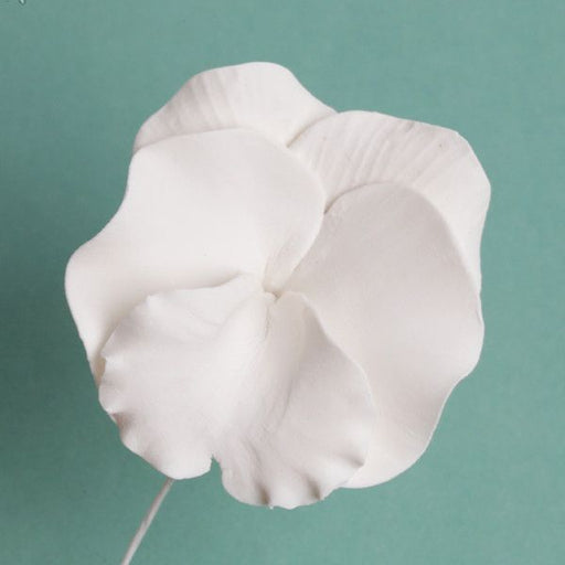 White Pansies Gumpaste Sugarflower edible cake decoration perfect for adding on top of your cakes and cupcakes.