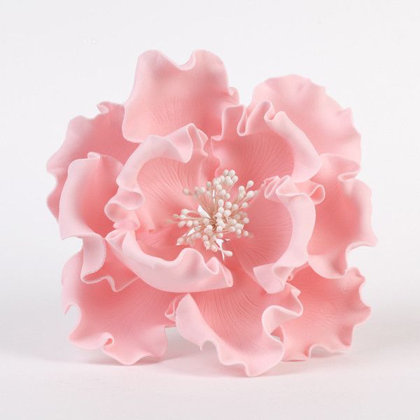 Pink Gumpaste Extra Large Peony sugarflower cake toppers perfect for cake decorating rolled fondant wedding cakes and birthday cakes.  Wholesale sugarflowers and wholesale cake supply. Extra Large Peonies - White Extra Large 6" Peonies - Pink. Caljava 