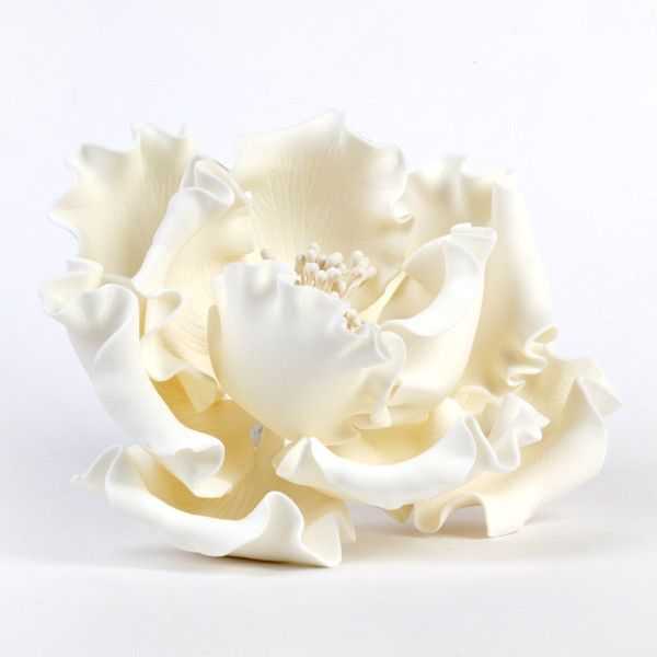 White Gumpaste Extra Large Peony sugarflower cake toppers perfect for cake decorating rolled fondant wedding cakes and birthday cakes.  Wholesale sugarflowers and wholesale cake supply. Extra Large Peonies - White Extra Large 6" Peonies - White. Caljava 