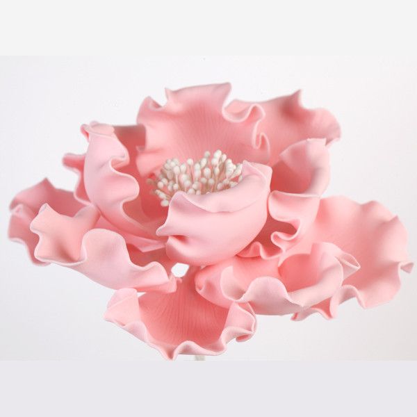 Close up of pink 6" gum paste peony sugar flower showing realistic petal detail