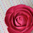 Pre wired Hot pink gum paste rose sugar flowers ready to place on wedding cakes