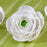 White Gumpaste Ranunculus sugarflower handmade cake decoration perfect as a cake topper for cake decorating fondant cakes.  Wholesale sugarflowers and bakery supply.