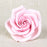Readymade by hand from gumpaste, this pre-wired Pink Chantilly Rose can be easily placed on cakes and offer a way of decorating hassle free for both professional and amateur decorators.