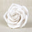 Readymade by hand from gumpaste, this pre-wired White Chantilly Rose can be easily placed on cakes and offer a way of decorating hassle free for both professional and amateur decorators.